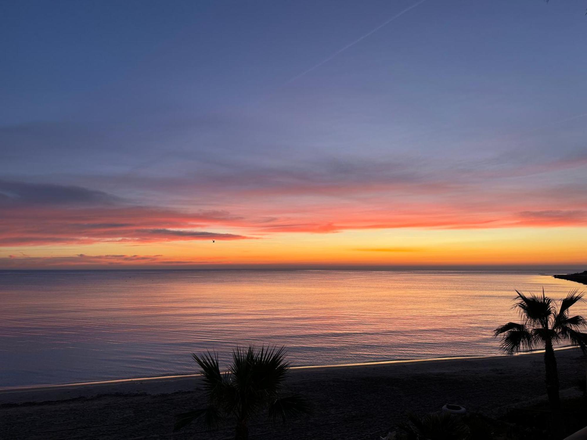 Espectacular Apartamento A Pie De Playa En Chalet Roquetes Alicante Exterior photo